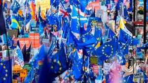 Thousands of people march to parliament calling for a People’s Vote in 2019. Photo: Niklas Halle’n/AFP/Getty